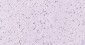 PCNA Mouse mAb
